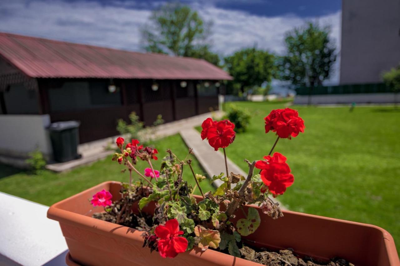 Hotel Casa Iordachescu Două Mai Zewnętrze zdjęcie